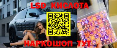 винт Кингисепп