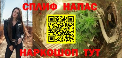 spice Кинель